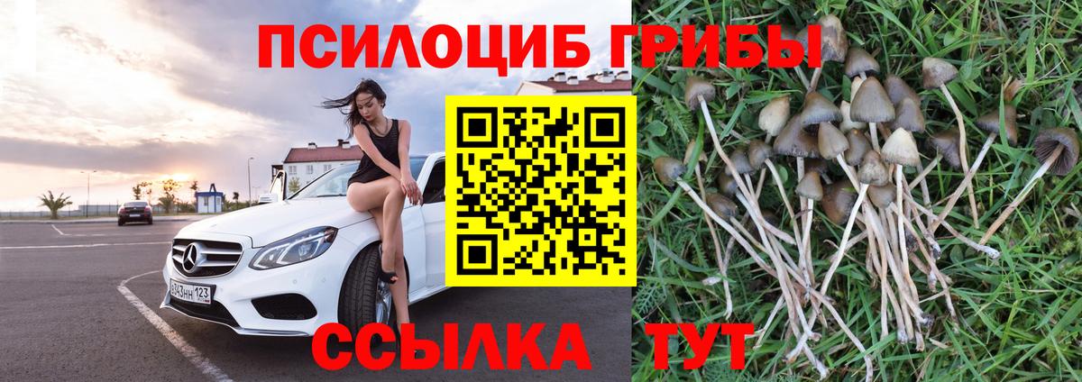 Бошки Шишки  Вход с VPN  Cocaine  MDMA  Карачаевск  Меф  